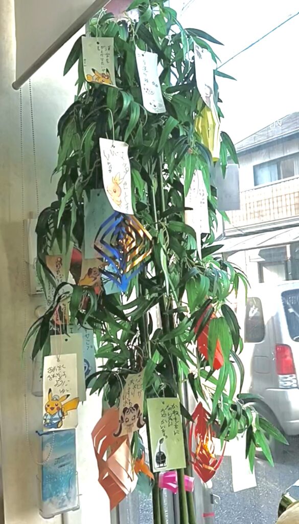 笹の葉に飾られたたくさんの短冊